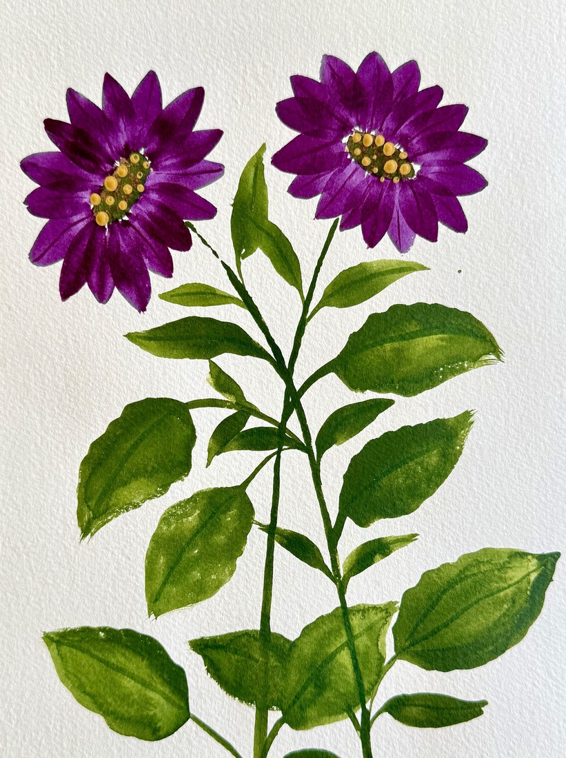 Aquarel 124