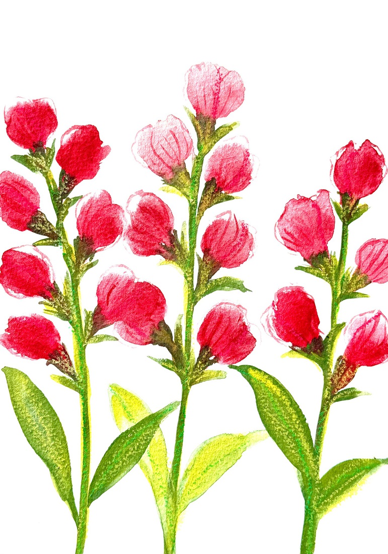 Aquarel 125