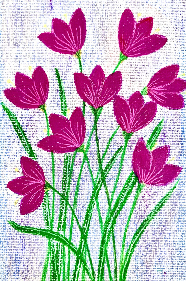 Pastel 104