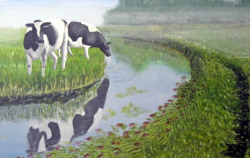 Koeien bij de Drecht