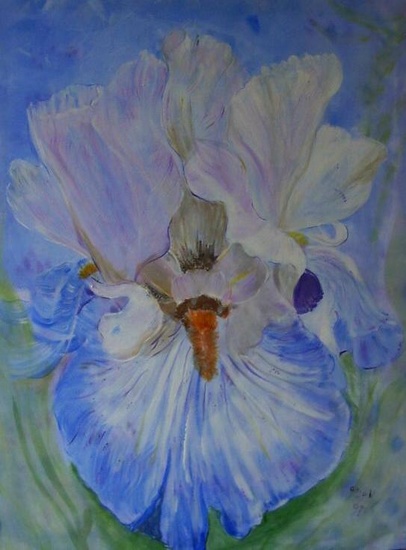 Iris blauw