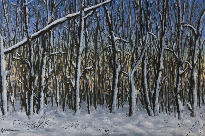 Savelsbos - Winter