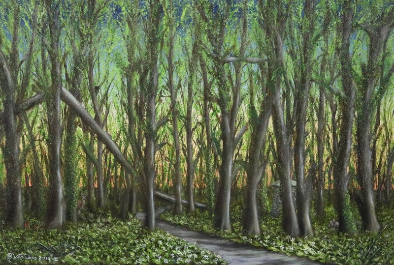 Savelsbos Lente