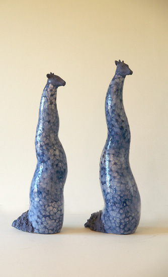 2 Blauwe giraffen.