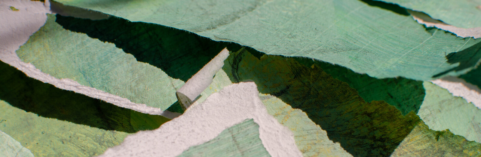 shadows nr 6