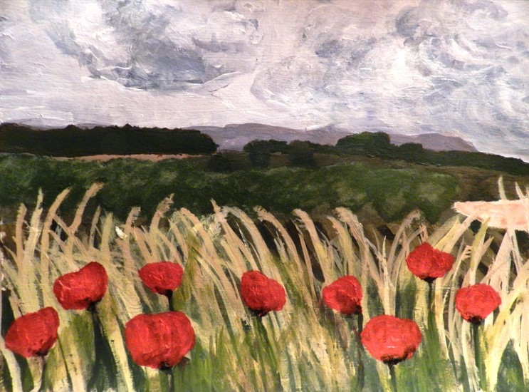 Klaprozen met rietstengels