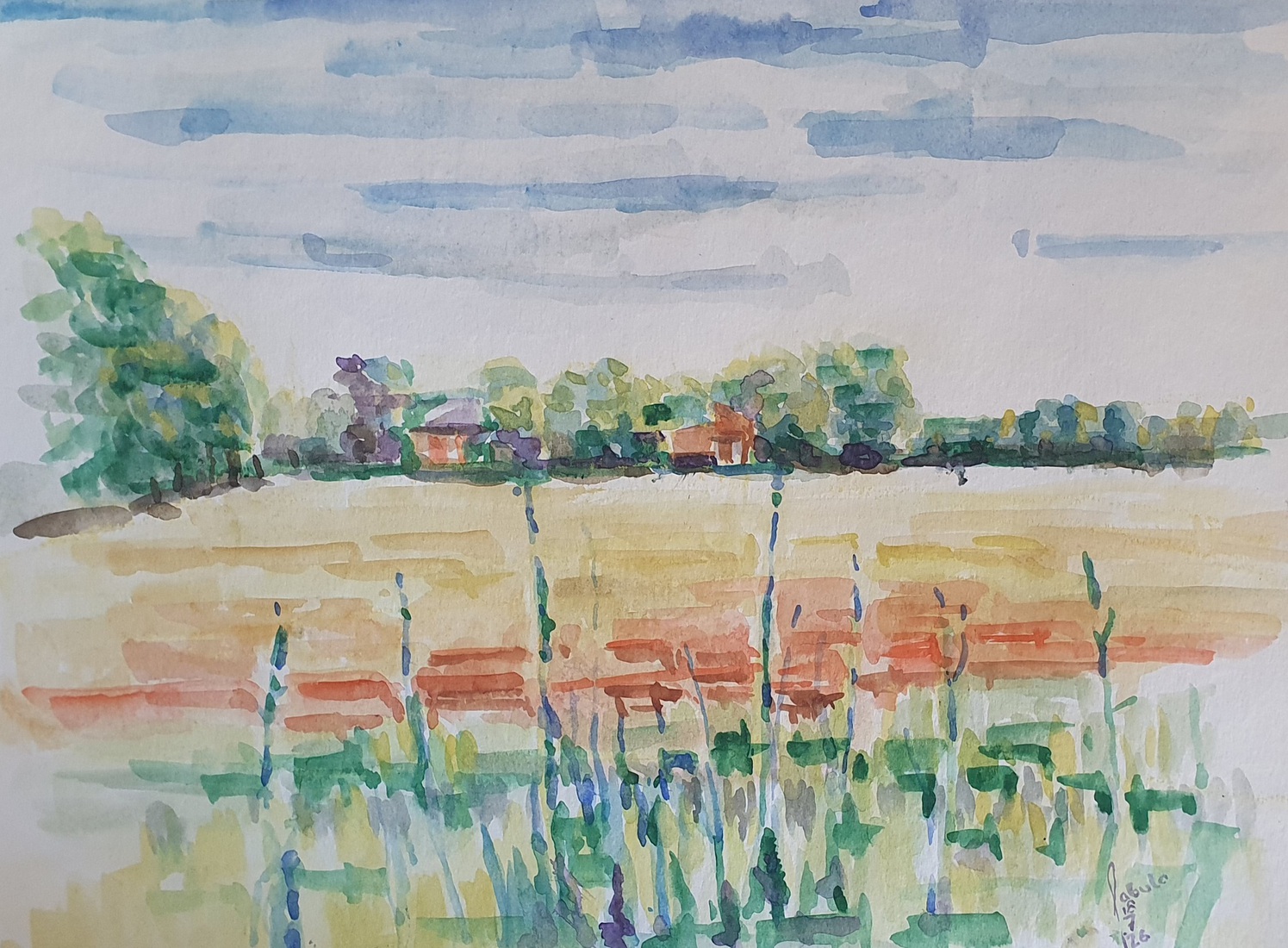 Midwolda landschap