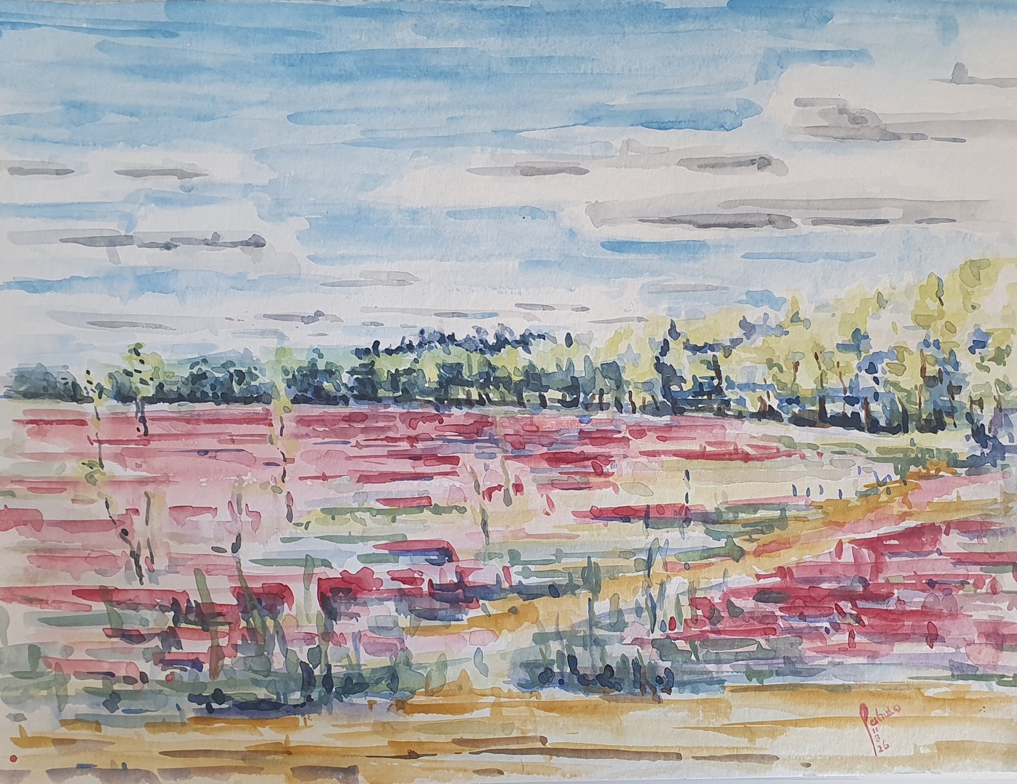 Norg, Noordsche veld