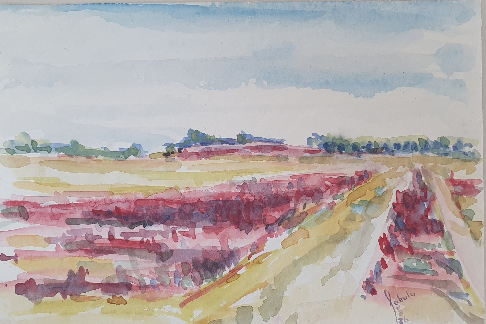 Norg, Noordsche veld