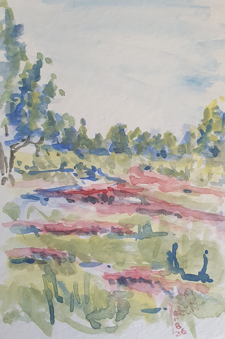 Norg, Noordsche veld