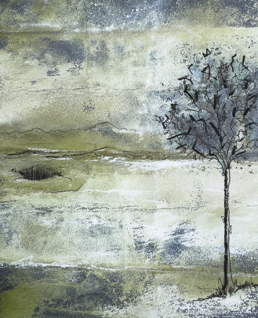 landschap