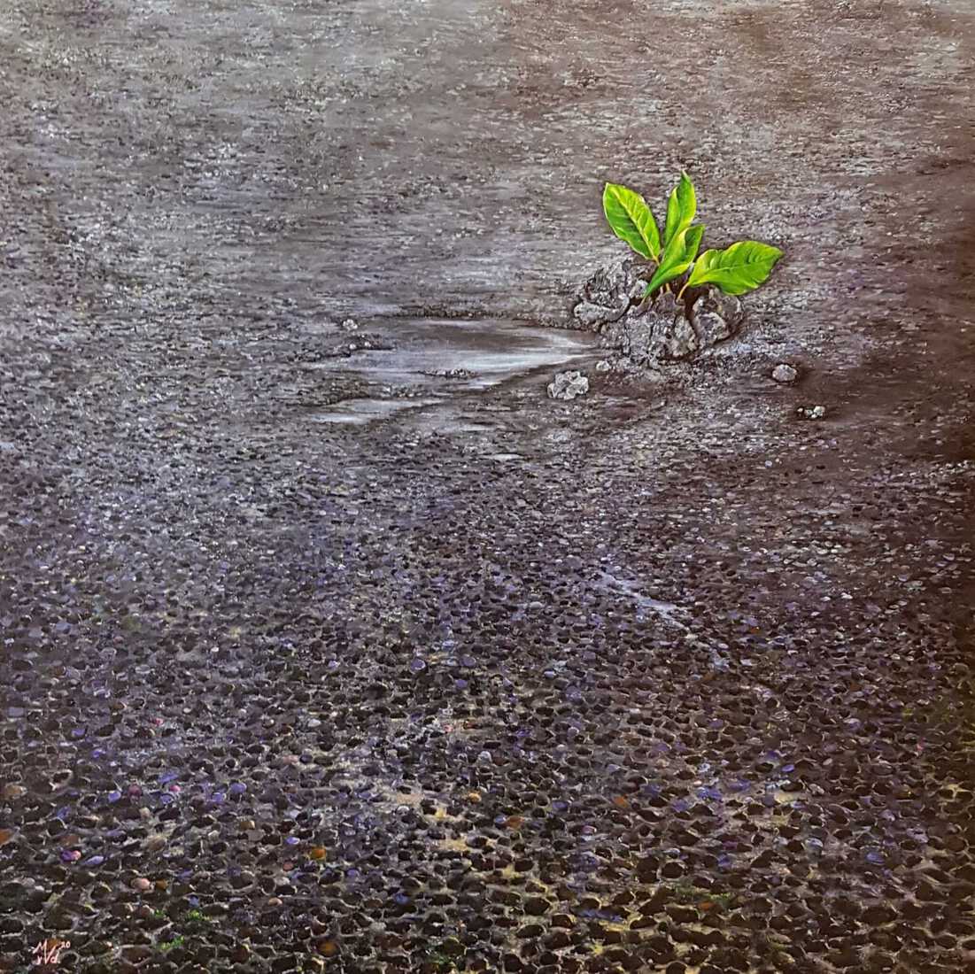 ‘Werk in uitvoering’