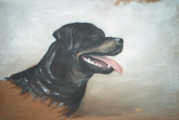 Andre's Rottweiler