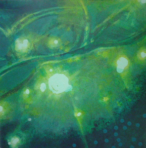 Een zoektocht naar de eigen interpretatie van een gedeelde realiteit. Een expositie die ik samen met partner en mede kunstenaar Janneke Dijkstra heb gehouden in projectruimte H47 te Leeuwarden.