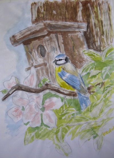 vogel bij vogelhuisje