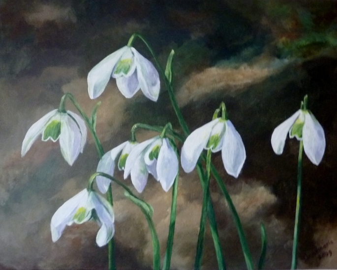 Sneeuwklokjes