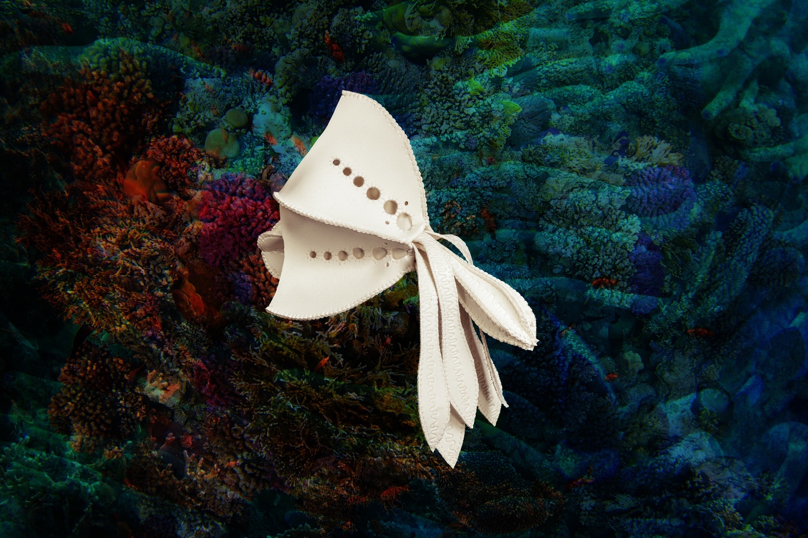 A.02 Articulata richeri