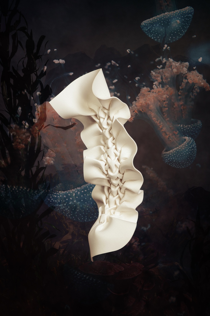 I.02 Nudipleura alba