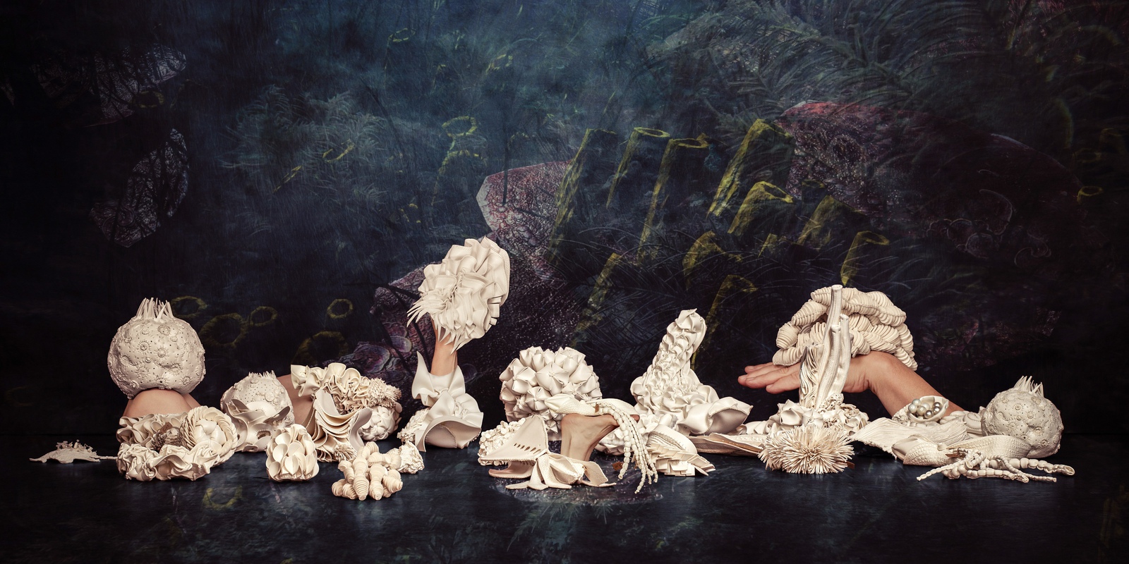 Onderwaterwereld / Deep Sea World