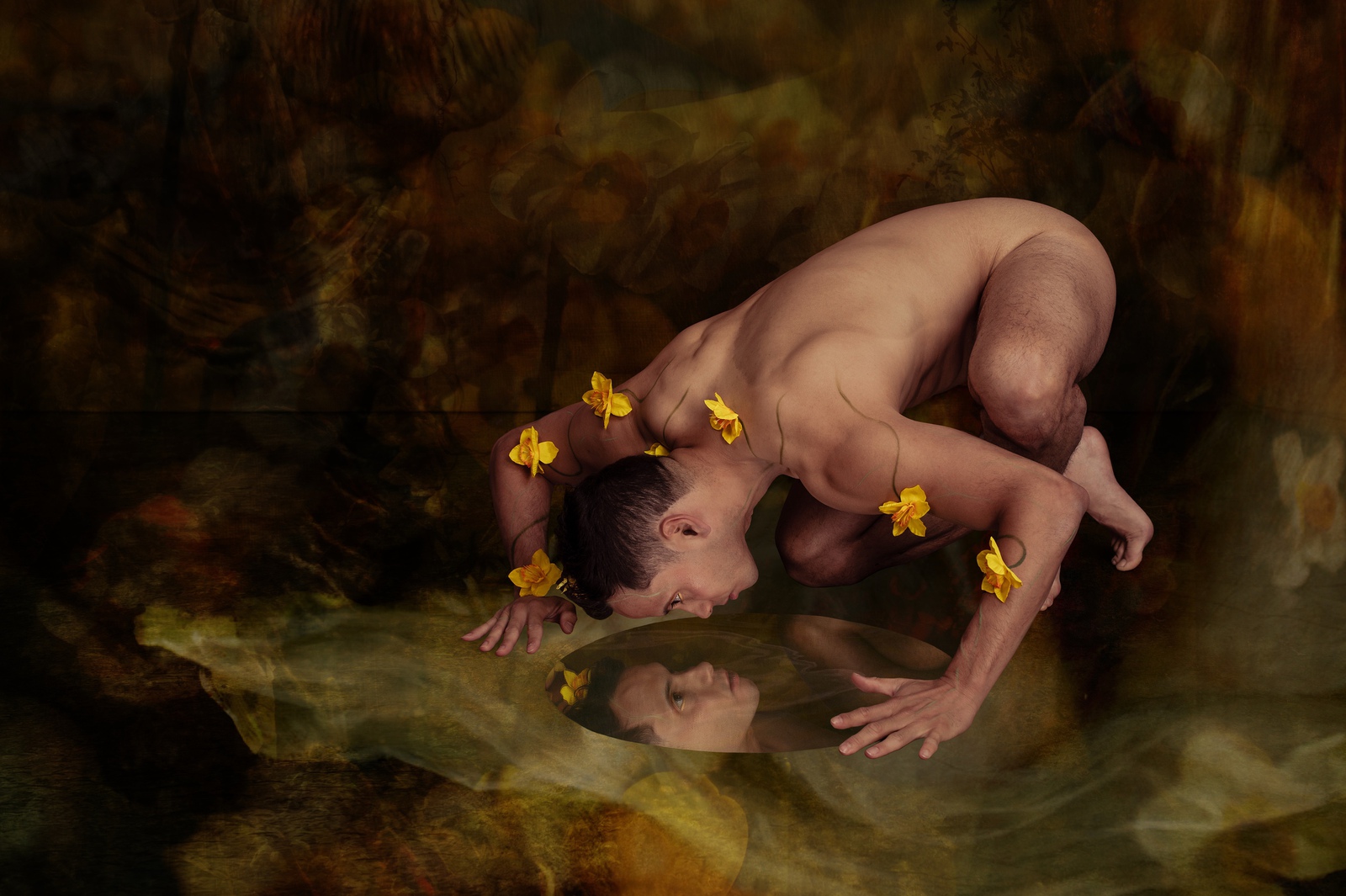 Narcissus