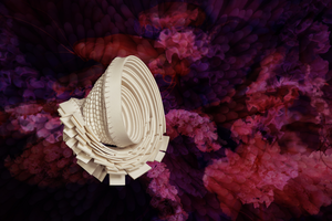 Bleached: een samenwerking met Francicsca Henneman/a collaboration with Francisca Henneman