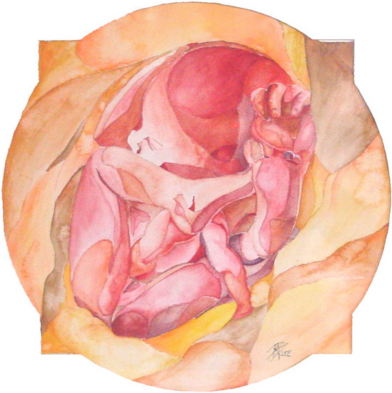 'Babymeisje in Wording'