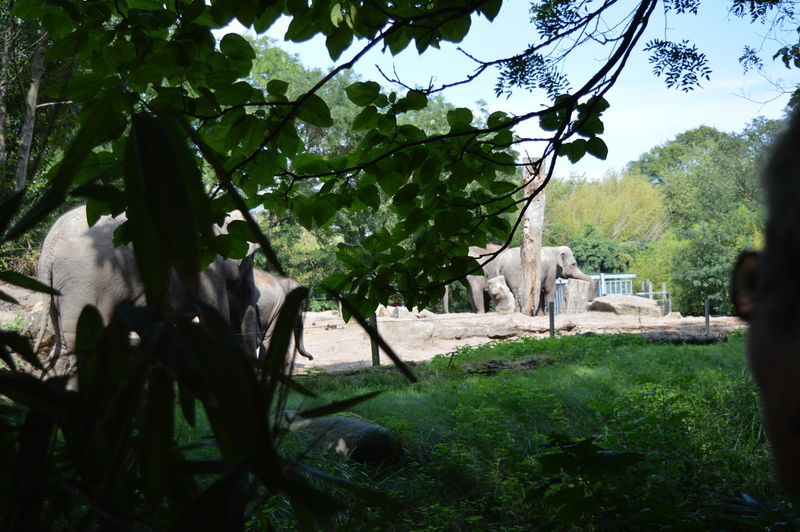 Blijdorp