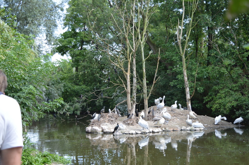 Blijdorp