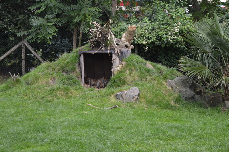 Blijdorp