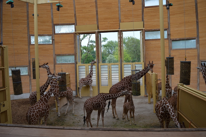Blijdorp