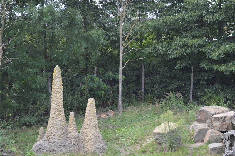 Blijdorp