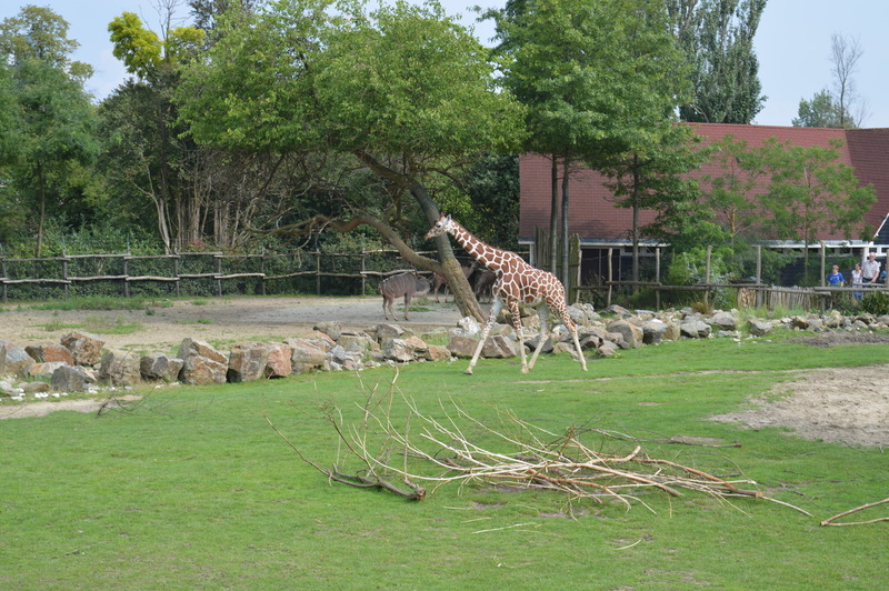 Blijdorp