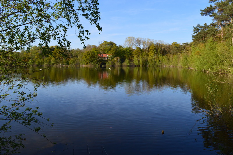 Landerije