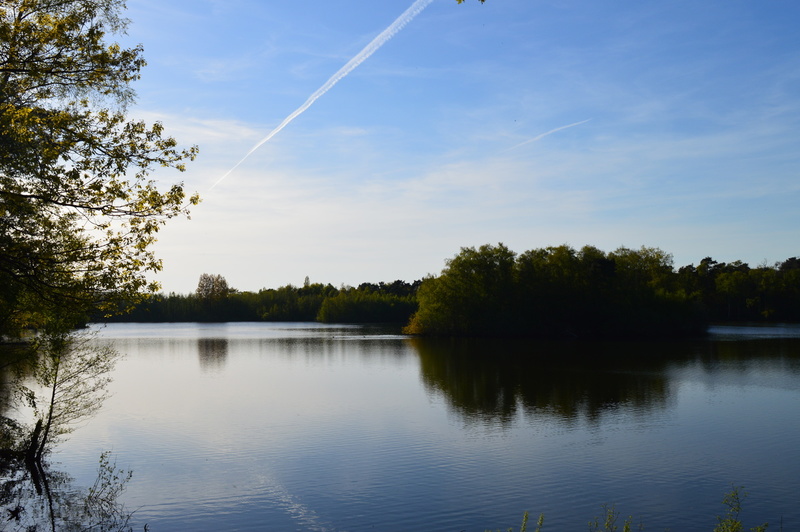 Landerije