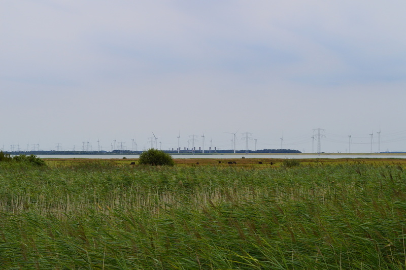 kop van t hoofd 1-8-16