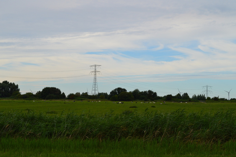 kop van t hoofd 1-8-16