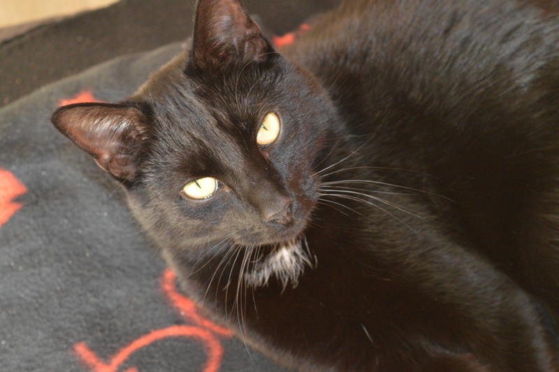 Smokey