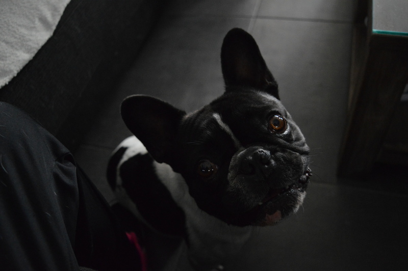 Boris