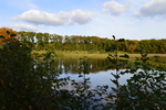 Fort rover is een natuurgebied bij mij in de buurt.