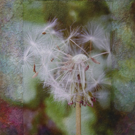 Doorwaait en doorademt al wat leeft… verbindende kracht