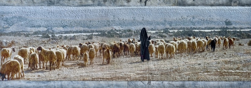 Herderin met schapen