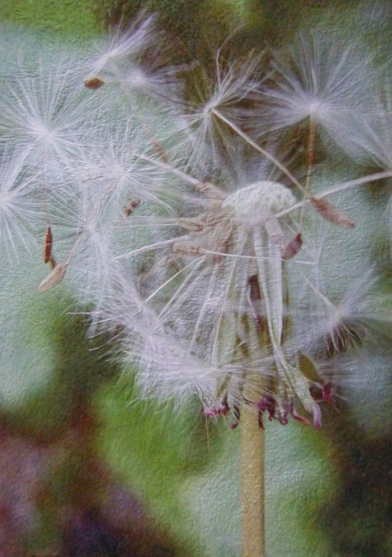 Doorwaait en doorademt al wat leeft