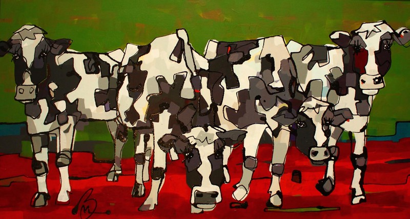 Colli Cows