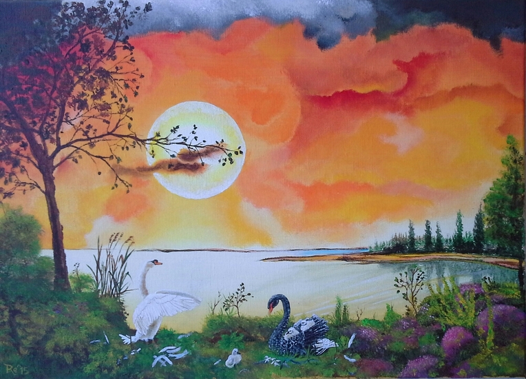 Zwoele avond zwanen koppel