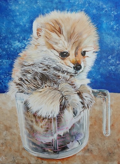 Maatbekker Pommeraantje