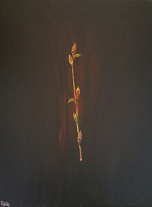 Het blad van een boom vanuit de wortels door de stam naar een takje, een knopje uiteindelijk vormt zich een blad groenig, getint, geaderd veranderend jaargetijde naar de herfst tot alleen de adertjes. Een serie van vijf.