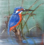 IJsvogeltje in de mist