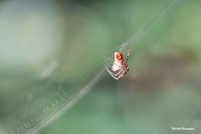 spin vanaf de zijkant