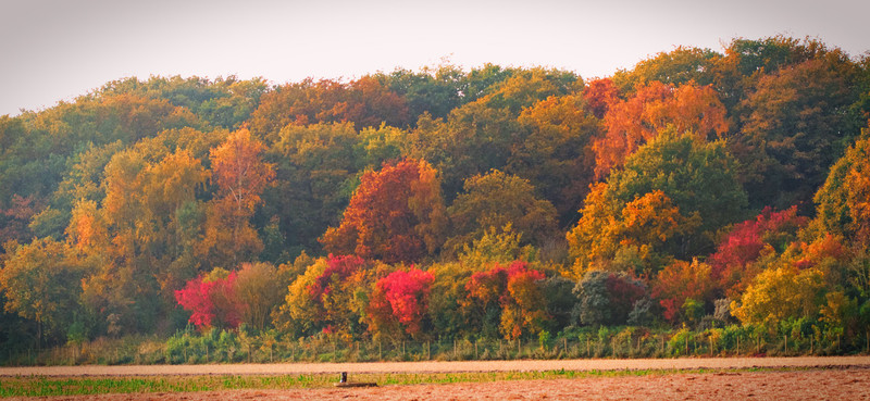 zanderij in herfst
