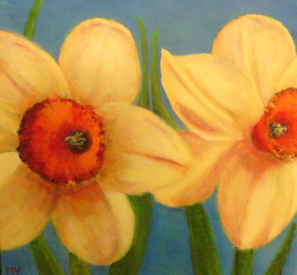 narcis